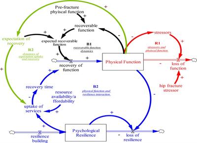 Systems modelling as an approach for eliciting the mechanisms for hip fracture recovery among older adults in a participatory stakeholder engagement setting